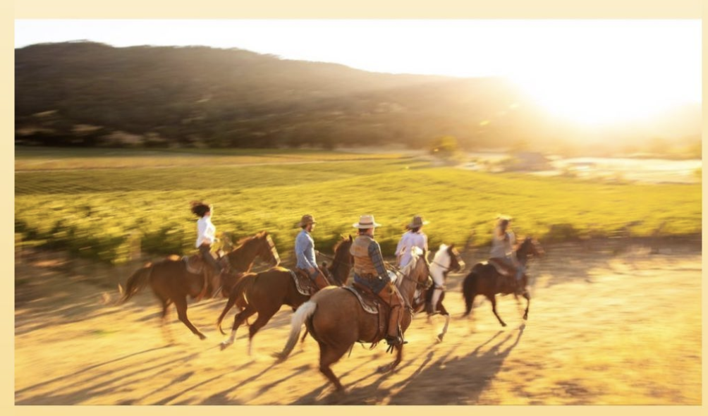 The New Vineyard Algebra